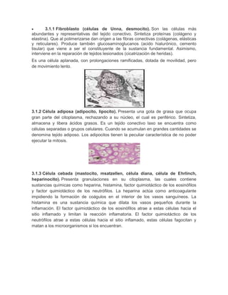 3.1.1 Fibroblasto (células de Unna, desmocito). Son las células más
abundantes y representativas del tejido conectivo. Sintetiza proteínas (colágeno y
elastina). Que al polimerizarse dan origen a las fibras conectivas (colágenas, elásticas
y reticulares). Produce también glucosaminoglucanos (acido hialurónico, cemento
tisular) que viene a ser el constituyente de la sustancia fundamental. Asimismo,
interviene en la reparación de tejidos lesionados (cicatrización de heridas).
Es una célula aplanada, con prolongaciones ramificadas, dotada de movilidad, pero
de movimiento lento.

3.1.2 Célula adiposa (adipocito, lipocito). Presenta una gota de grasa que ocupa
gran parte del citoplasma, rechazando a su núcleo, el cual es periférico. Sintetiza,
almacena y libera ácidos grasos. Es un tejido conectivo laxo se encuentra como
células separadas o grupos celulares. Cuando se acumulan en grandes cantidades se
denomina tejido adiposo. Los adipocitos tienen la peculiar característica de no poder
ejecutar la mitosis.

3.1.3 Célula cebada (mastocito, msatzellen, célula diana, célula de Ehrlinch,
heparinocito). Presenta granulaciones en su citoplasma, las cuales contiene
sustancias químicas como heparina, histamina, factor quimiotáctico de los eosinófilos
y factor quimiotáctico de los neutrófilos. La heparina actúa como anticoagulante
impidiendo la formación de coágulos en el interior de los vasos sanguíneos. La
histamina es una sustancia química que dilata los vasos pequeños durante la
inflamación. El factor quimiotáctico de los eosinófilos atrae a estas células hacia el
sitio inflamado y limitan la reacción inflamatoria. El factor quimiotáctico de los
neutrófilos atrae a estas células hacia el sitio inflamado, estas células fagocitan y
matan a los microorganismos si los encuentran.

 