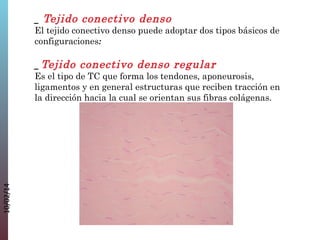 _ Tejido conectivo denso
El tejido conectivo denso puede adoptar dos tipos básicos de
configuraciones:

10/02/14

_ Tejido conectivo denso regular
Es el tipo de TC que forma los tendones, aponeurosis,
ligamentos y en general estructuras que reciben tracción en
la dirección hacia la cual se orientan sus fibras colágenas.

 