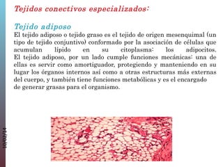 Tejidos conectivos especializados:
Tejido adiposo

10/02/14

El tejido adiposo o tejido graso es el tejido de origen mesenquimal (un
tipo de tejido conjuntivo) conformado por la asociación de células que
acumulan
lípido
en
su
citoplasma:
los
adipocitos.
El tejido adiposo, por un lado cumple funciones mecánicas: una de
ellas es servir como amortiguador, protegiendo y manteniendo en su
lugar los órganos internos así como a otras estructuras más externas
del cuerpo, y también tiene funciones metabólicas y es el encargado
de generar grasas para el organismo.

 