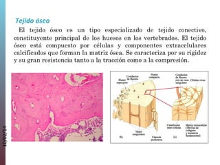 10/02/14

 Tejido óseo
  El tejido óseo es un tipo especializado de tejido conectivo,
constituyente principal de los huesos en los vertebrados. El tejido
óseo está compuesto por células y componentes extracelulares
calcificados que forman la matriz ósea. Se caracteriza por su rigidez
y su gran resistencia tanto a la tracción como a la compresión.

 