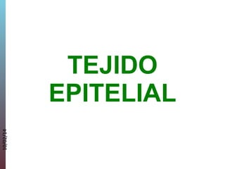 10/02/14

TEJIDO
EPITELIAL

 