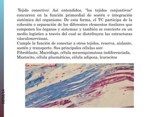 10/02/14

Tejido conectivo: Así entendidos, "los tejidos conjuntivos"
concurren en la función primordial de sostén e integración
sistémica del organismo. De esta forma, el TC participa de la
cohesión o separación de los diferentes elementos tisulares que
componen los órganos y sistemas; y también se convierte en un
medio logístico a través del cual se distribuyen las estructuras
vásculonerviosas.
Cumple la función de conectar a otros tejidos, reserva, aislante,
sostén y transporte. Sus principales células son:
Fibroblasto, Macrófago, célula mesenquimatosa indiferenciada,
Mastocito, célula plasmáticas, célula adiposa, leucocitos

 