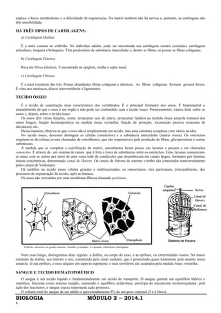 BIOLOGIA MÓDULO 2 ─ 2014.1
8
explica o baixo metabolismo e a dificuldade de regeneração. Na matriz também não há nervos e, portanto, as cartilagens não
têm sensibilidade.
HÁ TRÊS TIPOS DE CARTILAGENS:
a) Cartilagem Hialina
É a mais comum no embrião. No indivíduo adulto, pode ser encontrada nas cartilagens costais (costelas), cartilagens
articulares, traqueia e brônquios. Têm predomínio de substância intercelular e, dentre as fibras, só possui as fibras colágenas.
b) Cartilagem Elástica
Rica em fibras elásticas. É encontrada na epiglote, orelha e septo nasal.
c) Cartilagem Fibrosa
É a mais resistente das três. Possui abundantes fibras colágenas e elásticas. As fibras colágenas formam grossos feixes.
É vista nos meniscos, discos intervertebrais e ligamentos.
TECIDO ÓSSEO
É o tecido de sustentação mais característico dos vertebrados. É o principal formador dos ossos. É fundamental o
entendimento de que o osso é um órgão e não pode ser confundido com o tecido ósseo. Primeiramente, vamos falar sobre os
ossos e, depois, sobre o tecido ósseo.
Os ossos têm várias funções, como: armazenar sais de cálcio; armazenar lipídios na medula óssea amarela (tutano) dos
ossos longos; função hematopoiética na medula óssea vermelha; função de proteção; locomoção passiva (sistemas de
alavancas), etc.
Dessa maneira, observa-se que o osso não é simplesmente um tecido, mas uma estrutura complexa com vários tecidos.
No tecido ósseo, devemos distinguir as células (osteócitos) e a substância intercelular (matriz óssea). Os osteócitos
originam-se de células jovens chamadas de osteoblastos, que são responsáveis pela produção de fibras, glicoproteínas e outras
substâncias.
À medida que se completa a calcificação da matriz, osteoblastos ficam presos em lacunas e passam a ser chamados
osteócitos. É através de um sistema de canais que é feita a troca de substâncias entre os osteócitos. Estas lacunas comunicam-
se umas com as outras por meio de uma vasta rede de canalículos que desembocam em canais largos, formados por lâminas
ósseas concêntricas, denominado canal de Havers. Os canais de Havers de sistema vizinho são conectados transversalmente
pelos canais de Volkmann.
Há também no tecido ósseo células grandes e multinucleadas, os osteoclastos; eles participam, principalmente, dos
processos de regeneração do tecido, após as fraturas.
Os ossos são revestidos por uma membrana fibrosa chamada periósteo.
À direita, ostcócitos cm grande aumento, retraídos, já isolados. À esquerda, osteoblastos interligados.
Num osso longo, distinguimos duas regiões: a diáfise, ou corpo do osso, e as epífises, ou extremidades ósseas. Na maior
extensão da diáfise, seu interior é oco, constituído pelo canal medular, que é preenchido quase totalmente pela medula óssea
amarela. Já nas epífises, o osso adquire um aspecto esponjoso, e seus territórios são ocupados pela medula óssea vermelha.
SANGUE E TECIDO HEMATOPOIÉTICO
O sangue é um tecido líquido e fundamentalmente um tecido de transporte. O sangue garante um equilíbrio hídrico e
osmótica; funciona como sistema tampão, mantendo o equilíbrio ácido-base; participa do mecanismo termorregulador; pela
ação dos leucócitos, o sangue exerce importante ação protetora.
O volume total do sangue de um adulto é aproximadamente 8% do seu peso corporal (5 a 6 litros).
 