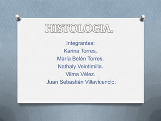 Integrantes:
Karina Torres.
María Belén Torres.
Nathaly Veintimilla.
Vilma Vélez.
Juan Sebastián Villavicencio.
 