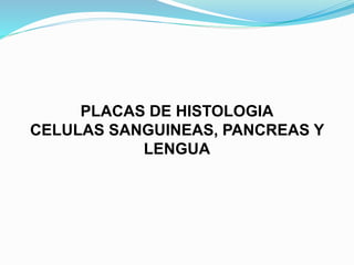 PLACAS DE HISTOLOGIA
CELULAS SANGUINEAS, PANCREAS Y
LENGUA
 