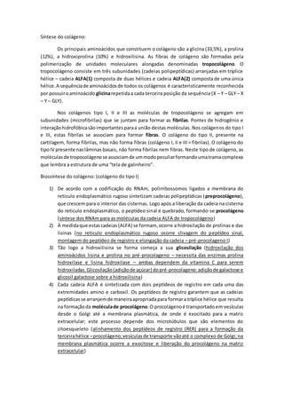 Síntese do colágeno:
Os principais aminoácidos que constituem o colágeno são a glicina (33,5%), a prolina
(12%), a hidroxiprolina (10%) e hidroxilisina. As fibras de colágeno são formadas pela
polimerização de unidades moleculares alongadas denominadas tropocolágeno. O
tropocolágeno consiste em três subunidades (cadeias polipeptídicas) arranjadas em tríplice
hélice – cadeia ALFA(1) composta de duas hélices e cadeia ALFA(2) composta de uma única
hélice.A sequênciade aminoácidosde todos os colágenos é caracteristicamente reconhecida
por possuiroaminoácido glicinarepetidaa cada terceira posição da sequência (X – Y – GLY – X
– Y – GLY).
Nos colágenos tipo I, II e III as moléculas de tropocolágeno se agregam em
subunidades (microfibrilas) que se juntam para formar as fibrilas. Pontes de hidrogênio e
interaçãohidrofóbicasãoimportantesparaa união destas moléculas. Nos colágenos do tipo I
e III, estas fibrilas se associam para formar fibras. O colágeno do tipo II, presente na
cartilagem, forma fibrilas, mas não forma fibras (colágeno I, II e III = fibrilas). O colágeno do
tipoIV presente naslâminas basais, não forma fibrilas nem fibras. Neste tipo de colágeno, as
moléculasde tropocolágenose associamde ummodopeculiarformandoumatramacomplexa
que lembra a estrutura de uma “tela de galinheiro”.
Biossíntese do colágeno: (colágeno do tipo I)
1) De acordo com a codificação do RNAm, polirribossomos ligados a membrana do
reticulo endoplasmático rugoso sintetizam cadeias polipeptídicas (preprocolágeno),
que crescem para o interior das cisternas. Logo após a liberação da cadeia na cisterna
do reticulo endoplasmático, o peptídeo sinal é quebrado, formando-se procolágeno
(síntese dos RNAm para as moléculas da cadeia ALFA de tropocolágeno)
2) À medidaque estascadeias(ALFA) se formam, ocorre a hidroxilação de prolinas e das
lisinas (no reticulo endoplasmático rugoso ocorre clivagem do peptídeo sinal,
montagem do peptídeo de registro e elongação da cadeia – pré-procolageno I)
3) Tão logo a hidroxilisina se forma começa a sua glicosilação (hidroxilação dos
aminoácidos lisina e prolina no pré-procolageno – necessita das enzimas prolina
hidroxilase e lisina hidroxilase – ambas dependem da vitamina C para serem
hidroxiladas.Glicosilação(adiçãode açúcar) dopré-procolageno:adiçãode galactose e
glicosil galactose sobre a hidroxilisina)
4) Cada cadeia ALFA é sintetizada com dois peptídeos de registro em cada uma das
extremidades amino e carboxil. Os peptídeos de registro garantem que as cadeias
peptídicasse arranjemde maneiraapropriadapara formara tríplice hélice que resulta
na formaçãoda moléculade procolágeno.O procolágenoé transportado em vesículas
desde o Golgi até a membrana plasmática, de onde é exocitado para a matriz
extracelular; este processo depende dos microtúbulos que são elementos do
citoesqueleto (alinhamento dos peptídeos de registro (RER) para a formação da
terceirahélice –procolágeno;vesículasde transporte vãoaté o complexo de Golgi; na
membrana plasmática ocorre a exocitose e liberação do procolágeno na matriz
extracelular)
 