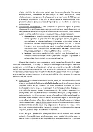 células epiteliais; são elementos cruciais para formar uma barreira física contra
microorganismos, importantes na estruturação da matriz extracelular, estão
relacionadascomo alongamentodacéluladamatriz,formam bastão de RER, ligam-se
a fatores de crescimento o que leva a divisão celular e no complexo de Golgi
glicosaminoglicanos (oligossacarídeos-O-ligados) vão ser montados e originar os
proteoglicanos.
3) Glicoproteínas multiadesivas – são compostas de proteínas ligadas a glicídios
(oligossacarídeosramificados); desempenham um importante papel não somente na
interação entre células vizinhas nos tecidos adultos e embrionários, como também
ajudam as células a aderirem sobre os seus substratos. As glicoproteínas são:
a. Fibronectina – é uma glicoproteína sintetizada pelos fibroblastos e algumas
células epiteliais e apresenta sítios de ligação para células, colágeno IV,
proteoglicanos e glicosaminoglicanas. Integrações nestes sítios ajudam a
intermediar e manter normais as migrações e adesões celulares. As células
interagem com componentes da matriz extracelular através de proteínas
transmembranas. Estas proteínas são receptores de matriz denominadas
integrinas que se ligam ao colágeno, à fibronectina e à laminina.
b. Laminina – participa na adesão de células epiteliais à sua lâmina basal, que é
uma estrutura muito rica em laminina; apresenta sítios para a ligação com o
colágeno IV e glicoproteína transmembrana integrina.
A ligação das integrinas com moléculas da matriz extracelular (ligante) é de baixa
afinidade e depende de Ca2+
ou Mg2+
. As integrinas podem ligar-se e desligar-se da matriz
extracelular,permitindoque ascélulaspossamexplorarseu ambiente sem perder a interação
nemficarempermanentemente aderidasaele.Asinteraçõesmediadas por integrinas entre o
meioextracelulare ocitoesqueleto(microfilamentosde actina) operamemambas as direções
e desempenhamumpapel importante naorientaçãodascélulase doselementosdas matrizes
extracelulares nos tecidos.
4) Fluídotissular– alemda substânciafundamental,existe,nostecidos conjuntivos, uma
pequenaquantidadede fluído, chamado fluído tissular, que é semelhante ao plasma
sanguíneo quanto ao seu conteúdo em íons e substâncias difusíveis. Os fluídos
tissulares contêm uma pequena porcentagem de proteínas plasmáticas de pequeno
peso molecular, as quais passam através das paredes dos capilares para os tecidos
circunjacentescomoresultadodapressão hidrostática do sangue. O sangue traz até o
tecidoconjuntivo (tecido conjuntivo + sangue = formação do fluído tissular) os vários
nutrientesnecessáriosparasuascélulase leva de volta para órgãos de desintoxicação
e excreção produtos de refugo do metabolismo celular. Duas forças atuam na água
contidanoscapilares:a pressãohidrostáticadosangue,conseqüentemente daaçãode
bombeamento do coração, a qual força a água através da parede dos vasos; a outra
força, que tem sentido contrário, é a pressão osmótica (coloidosmótica) do plasma
sanguíneo, que atrai a água de volta para os capilares.
A saída de água + proteínas de baixo peso molecular das arteríolas para o tecido
conjuntivo é conseqüência do fato de que neste local a pressão hidrostática supera a
pressão osmótica (no capilar restam proteínas de alto peso molecular). A pressão
 