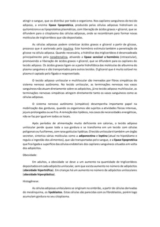 atingir o sangue, que os distribui por todo o organismo. Nos capilares sanguíneos do tecido
adiposo, a enzima lípase lipoprotéica, produzida pelas células adiposas hidrolisam os
quilomícronse as lipoproteínasplasmáticas, com liberação de ácidos graxos + glicerol, que se
difundem para o citoplasma das células adiposas, onde se recombinam para formar novas
moléculas de triglicerídeos que são depositadas.
As células adiposas podem sintetizar ácidos graxos e glicerol a partir de glicose,
processo que é acelerado pela insulina. Este hormônio estimula também a penetração da
glicose na célula adiposa. Quando necessária, a hidrólise dos triglicerídeos é desencadeada
principalmente pela noradrenalina, ativando a lípase sensível a hormônio (intracelular),
promovendo a liberação de ácidos graxos + glicerol, que se difundem para os capilares do
tecido adiposo. Os ácidos graxos ligam-se a parte hidrofóbica das moléculas de albumina do
plasma sanguíneo e são transportados para outros tecidos. O glicerol que é muito solúvel no
plasma é captado pelo fígado e reaproveitado.
O tecido adiposo unilocular e multilocular são inervados por fibras simpáticas do
sistema nervoso autônomo. No tecido unilocular, as terminações nervosas nos vasos
sanguíneosnãoatuam diretamente sobre os adipócitos, já no tecido adiposo multilocular, as
terminações nervosas simpáticas atingem diretamente tanto os vasos sanguíneos como as
células adiposas.
O sistema nervoso autônomo (simpático) desempenha importante papel na
mobilização das gorduras, quando os organismos são sujeitos a atividades físicas intensas,
jejunsprolongadosouaofrio.A remoçãodos lipídeos,noscasosde necessidades energéticas,
não se faz por igual em todos os locais.
Após períodos de alimentação muito deficiente em calorias, o tecido adiposo
unilocular perde quase toda a sua gordura e se transforma em um tecido com células
poligonaisoufusiformes,comrarasgotículas lipídicas.Otecidounilocularé também um órgão
secretor, sintetiza várias moléculas como a adiponectina e leptina (atual no hipotálamo e
regula a ingestão dos alimentos), que são transportadas pelo sangue, e a lípase lipoprotéica
que ficaligadaa superfície dascélulasendoteliais dos capilares sanguíneos situados em volta
dos adipócitos.
Obesidade:
Em adultos, a obesidade se deve a um aumento na quantidade de triglicerídeos
depositadosemcadaadipócitounilocular, sem que exista aumento no número de adipócitos
(obesidade hipertrófica). Em crianças há um aumento no número de adipócitos uniloculares
(obesidade hiperplástica).
Histogênese:
As célulasadiposasunilocularesse originam no embrião, a partir de células derivadas
do mesênquima, os lipoblastos. Estas células são parecidas com os fibroblastos, porém logo
acumulam gordura no seu citoplasma.
 
