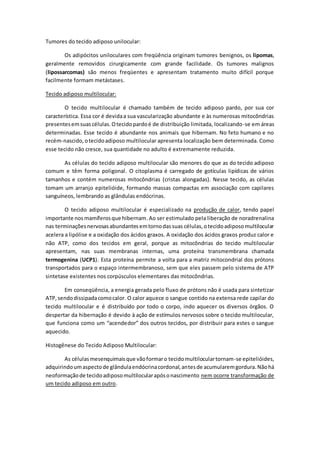 Tumores do tecido adiposo unilocular:
Os adipócitos uniloculares com freqüência originam tumores benignos, os lipomas,
geralmente removidos cirurgicamente com grande facilidade. Os tumores malignos
(lipossarcomas) são menos freqüentes e apresentam tratamento muito difícil porque
facilmente formam metástases.
Tecido adiposo multilocular:
O tecido multilocular é chamado também de tecido adiposo pardo, por sua cor
característica. Essa cor é devidaa sua vascularização abundante e às numerosas mitocôndrias
presentesemsuascélulas.Otecidopardoé de distribuição limitada, localizando-se em áreas
determinadas. Esse tecido é abundante nos animais que hibernam. No feto humano e no
recém-nascido,otecidoadiposo multilocular apresenta localização bem determinada. Como
esse tecido não cresce, sua quantidade no adulto é extremamente reduzida.
As células do tecido adiposo multilocular são menores do que as do tecido adiposo
comum e têm forma poligonal. O citoplasma é carregado de gotículas lipídicas de vários
tamanhos e contém numerosas mitocôndrias (cristas alongadas). Nesse tecido, as células
tomam um arranjo epitelióide, formando massas compactas em associação com capilares
sanguíneos, lembrando as glândulas endócrinas.
O tecido adiposo multilocular é especializado na produção de calor, tendo papel
importante nosmamíferosque hibernam.Ao ser estimulado pela liberação de noradrenalina
nas terminaçõesnervosasabundantesemtornodassuas células,otecidoadiposomultilocular
acelera a lipólise e a oxidação dos ácidos graxos. A oxidação dos ácidos graxos produz calor e
não ATP, como dos tecidos em geral, porque as mitocôndrias do tecido multilocular
apresentam, nas suas membranas internas, uma proteína transmembrana chamada
termogenina (UCP1). Esta proteína permite a volta para a matriz mitocondrial dos prótons
transportados para o espaço intermembranoso, sem que eles passem pelo sistema de ATP
sintetase existentes nos corpúsculos elementares das mitocôndrias.
Em conseqüência, a energia gerada pelo fluxo de prótons não é usada para sintetizar
ATP,sendodissipadacomocalor. O calor aquece o sangue contido na extensa rede capilar do
tecido multilocular e é distribuído por todo o corpo, indo aquecer os diversos órgãos. O
despertar da hibernação é devido à ação de estímulos nervosos sobre o tecido multilocular,
que funciona como um “acendedor” dos outros tecidos, por distribuir para estes o sangue
aquecido.
Histogênese do Tecido Adiposo Multilocular:
As célulasmesenquimaisque vãoformaro tecidomultiloculartornam-se epitelióides,
adquirindoumaspectode glândulaendócrinacordonal,antesde acumularemgordura.Nãohá
neoformaçãode tecidoadiposomultilocularapósonascimento nem ocorre transformação de
um tecido adiposo em outro.
 