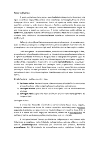 Tecido Cartilaginoso:
O tecidocartilaginosoé umaformaespecializadade tecidoconjuntivo de consistência
rígida (encontrado no pavilhão auditivo, sobre ossos longos e articulações, traquéia, arvore
brônquica e fossas nasais). Desempenha a função de suporte de tecidos moles, reveste
superfícies articulares, onde absorve choques, e facilita o deslizamento dos ossos nas
articulações. A cartilagem é essencial para a formação e o crescimento dos ossos longos, na
vida intra-uterina e depois do nascimento. O tecido cartilaginoso contém células, os
condrócitos,e abundante material extracelular,que constitui a matriz.As cavidadesda matriz,
ocupadas pelos condrócitos, são chamadas lacunas (uma lacuna pode contem um ou mais
condrócitos).
As funçõesdo tecido cartilaginoso dependem principalmente da estrutura da matriz,
que é constituídaporcolágenooucolágeno + elastina,emassociaçãocom macromoléculas de
proteoglicanos(proteínas+glicosaminoglicanos), ácido hialurônico e diversas glicoproteínas.
Comoo colágenoe a elastinasãoflexíveis,aconsistênciafirme dascartilagensse deve,
principalmente,àsligaçõeseletrostáticas entre asglicosaminoglicanassulfatadase ocolágeno,
e à grande quantidade de moléculas de água presas a essas glicosaminoglicanas (água de
solvatação), o confere turgidez a matriz. O tecido cartilaginoso não possui vasos sanguíneos,
sendo nutrido pelos capilares do conjuntivo envolvente (pericôndrio [bainha conjuntiva] –
ausente nas cartilagens articulares e na cartilagem fibrosa; o pericôndrio contém vasos
sanguíneos e linfáticos, e nervos). As cartilagens que revestem a superfície dos ossos nas
articulações móveis não têm pericôndrio e recebem nutrientes do líquido sinovial das
cavidades articulares. O tecido cartilaginoso é também desprovido de vasos linfáticos e de
nervos.
Divisão funcional – cartilagem em três tipos:
1) Cartilagemhialina: é a maiscomume cuja matrizpossui delicadasfibrilas constituídas
principalmente de colágeno tipo II, glicosaminoglicanos e proteoglicanos.
2) Cartilagem elástica: possui poucas fibrilas de colágeno tipo II e abundantes fibras
elásticas
3) Cartilagem fibrosa: apresenta matriz constituída preponderantemente por fibras de
colágeno tipo I
Cartilagem Hialina:
É o tipo mais freqüente encontrado no corpo humano (fossas nasais, traquéia,
brônquios, na extremidade ventral das costelas e superfícies articulares). Forma o primeiro
esqueleto do embrião, que posteriormente é substituído por um esqueleto ósseo. Entre a
diáfise e a epífise dos ossos longos em crescimento, observa-se o disco epifisário, de
cartilagem hialina, que é responsável do crescimento do osso em extensão.
A cartilagem hialina é formada por fibrilas de colágeno tipo II associadas ao ácido
hialurônico, proteoglicanas muito hidratadas e glicoproteínas. Além do colágeno, a matriz
contém glicosaminoglicanas combinadas por covalência com proteínas, formando
proteoglicanas. Até 200 moléculas de proteoglicanas podem estabelecer ligações não
 