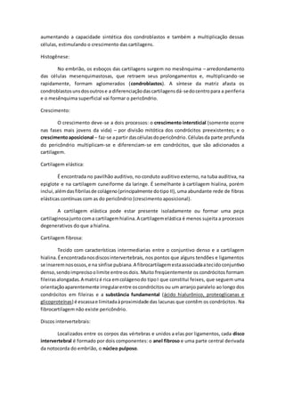 aumentando a capacidade sintética dos condroblastos e também a multiplicação dessas
células, estimulando o crescimento das cartilagens.
Histogênese:
No embrião, os esboços das cartilagens surgem no mesênquima – arredondamento
das células mesenquimastosas, que retraem seus prolongamentos e, multiplicando-se
rapidamente, formam aglomerados (condroblastos). A síntese da matriz afasta os
condroblastosunsdosoutrose a diferenciaçãodascartilagensdá-sedocentropara a periferia
e o mesênquima superficial vai formar o pericôndrio.
Crescimento:
O crescimento deve-se a dois processos: o crescimento intersticial (somente ocorre
nas fases mais jovens da vida) – por divisão mitótica dos condrócitos preexistentes; e o
crescimentoaposicional – faz-se apartir dascélulasdopericôndrio.Célulasda parte profunda
do pericôndrio multiplicam-se e diferenciam-se em condrócitos, que são adicionados a
cartilagem.
Cartilagem elástica:
É encontrada no pavilhão auditivo, no conduto auditivo externo, na tuba auditiva, na
epiglote e na cartilagem cuneiforme da laringe. É semelhante à cartilagem hialina, porém
inclui,alémdasfibrilasde colágeno(principalmente dotipo II), uma abundante rede de fibras
elásticas contínuas com as do pericôndrio (crescimento aposicional).
A cartilagem elástica pode estar presente isoladamente ou formar uma peça
cartilaginosajuntocoma cartilagemhialina.A cartilagemelástica é menos sujeita a processos
degenerativos do que a hialina.
Cartilagem fibrosa:
Tecido com características intermediarias entre o conjuntivo denso e a cartilagem
hialina.Éencontradanosdiscosintervertebrais, nos pontos que alguns tendões e ligamentos
se inseremnosossos,e na sínfise pubiana.A fibrocartilagemestaassociadaatecidoconjuntivo
denso,sendoimprecisoolimite entreosdois. Muito freqüentemente os condrócitos formam
fileirasalongadas.A matrizé rica emcolágenodo tipoI que constitui feixes, que seguem uma
orientaçãoaparentemente irregularentre oscondrócitos ou um arranjo paralelo ao longo dos
condrócitos em fileiras e a substância fundamental (ácido hialurônico, proteoglicanas e
glicoproteínas) é escassae limitadaàproximidade das lacunas que contêm os condrócitos. Na
fibrocartilagem não existe pericôndrio.
Discos intervertebrais:
Localizados entre os corpos das vértebras e unidos a elas por ligamentos, cada disco
intervertebral é formado por dois componentes: o anel fibroso e uma parte central derivada
da notocorda do embrião, o núcleo pulposo.
 