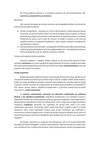 de formar grânulos densos e as principais proteínas de neurotransmissores são:
epinefrina, noraepinefrina e serotonina
Apudomas:
São tumores derivados de células secretoras de polipeptídios (câncer nas células do
sistema neuroendócrino difuso)
6) Células mioepiteliais – localizam-se entre a lâmina basal e o pólo basal das células
secretoras ou das células dos ductos. Elas são conectadas umas as outras e as células
epiteliaisporjunçõescomunicantese desmossomos.Ocitoplasmacontémnumerosos
filamentos de actina, assim como de miosina. A função é contrair-se em volta da
porção secretora ou condutora da glândula e assim ajudar a impedir os produtos de
secreção para o exterior
7) Célulasprodutorasde esteróides –produçãode hormôniosesteróides;sãocélulasque
contemgrande quantidade de reticuloendoplasmáticoliso + mitocôndrias (cristas em
forma de dedos de luva). Ex: adrenal, testículos e ovários
Tumores derivados de células epiteliais:
Tumores benignos e malignos podem originar-se da maioria dos tipos de células
epiteliais. Carcioninaé um tumormalignode origemepitelial.Ostumores malignos derivados
de tecidosepiteliaisglandularessãonormalmente denominados adenocarcinomas; estes são
tumores mais comuns em adultos.
Tecido conjuntivo:
Responsáveispeloestabelecimento e manutenção da forma do corpo, através de um
conjuntode moléculas (matriz) que conecta e liga as células e órgãos, dando, desta maneira,
suporte ao corpo (estabelece conexão, promove continuidade com o tecido epitelial, tecido
muscular e tecido nervoso). Os componentes do tecido conjuntivo podem ser divididos em
três classes: células, fibras e substância fundamental e o principal constituinte do tecido
conjuntivo é a matriz extracelular.
As matrizes extracelulares consistem em diferentes combinações de proteínas
fibrosas e de substância fundamental. Substância fundamental é um complexo viscoso e
altamente hidrofílico de macromoléculas aniônicas (glicosaminoglicanos e proteoglicanos) e
glicoproteínas multiadesivas (laminina, fibronectina, entre outras) que se ligam a proteínas
receptoras (integrinas) presentes nas superfícies de células bem como a de outros
componentes da matriz, fornecendo, desse modo, força tênsil e rigidez à matriz. O tecido
conjuntivo serve como importante reserva para muitos hormônios que controlam o
crescimentoe a diferenciação celular. A matriz do tecido conjuntivo também serve como um
meioatravésdoquaisnutrientese catabólitossãotrocados entre as células e seu suprimento
sanguíneo
Os tecidos conjuntivos se originam do mesênquima, que é um tecido embrionário
formado por células alongadas, as células mesenquimais. Estas células têm um núcleo oval,
com cromatina fina e nucléolo proeminente. Estas células possuem muitos prolongamentos
 