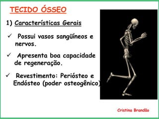 TECIDO ÓSSEO
1) Características Gerais
 Possui vasos sangüíneos e
nervos.
 Apresenta boa capacidade
de regeneração.
 Revestimento: Periósteo e
Endósteo (poder osteogênico)
Cristina Brandão
 