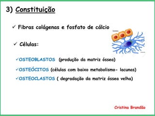 3) Constituição
 Fibras colágenas e fosfato de cálcio
 Células:
OSTEOBLASTOS (produção da matriz óssea)
OSTEOCLASTOS ( degradação da matriz óssea velha)
OSTEÓCITOS (células com baixo metabolismo- lacunas)
Cristina Brandão
 