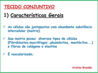 1) Características Gerais
TECIDO CONJUNTIVO
 As células são justapostas com abundante substância
intercelular (matriz).
 Sua matriz possui diversos tipos de células
(Fibroblastos,macrófagos ,plasmócitos, mastócitos...)
e fibras de colágeno e elastina
 É vascularizado;
Cristina Brandão
 