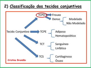 2) Classificação dos tecidos conjuntivos
Cristina Brandão
 