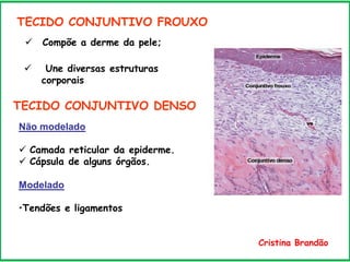 TECIDO CONJUNTIVO FROUXO
 Compõe a derme da pele;
 Une diversas estruturas
corporais
TECIDO CONJUNTIVO DENSO
Não modelado
 Camada reticular da epiderme.
 Cápsula de alguns órgãos.
Modelado
•Tendões e ligamentos
Cristina Brandão
 