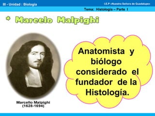 III - Unidad : Biología
Tema: Histología – Parte I
I.E.P «Nuestra Señora de Guadalupe»
Anatomista y
biólogo
considerado el
fundador de la
Histología.
 