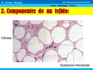 Células
Sustancia intercelular
III - Unidad : Biología
Tema: Histología – Parte I
I.E.P «Nuestra Señora de Guadalupe»
 