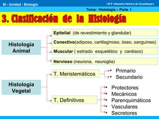 Epitelial (de revestimiento y glandular)
Conectivo(adiposo, cartilaginoso, óseo, sanguíneo)
Muscular ( estriado esquelético y cardiaco)
Nervioso (neurona, neuroglia)
T. Meristemáticos
T. Definitivos
• Primario
• Secundario
• Protectores
• Mecánicos
• Parenquimáticos
• Vasculares
• Secretores
Histología
Animal
Histología
Vegetal
III - Unidad : Biología
Tema: Histología – Parte I
I.E.P «Nuestra Señora de Guadalupe»
 