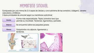 Histologia medicina....................................... | PDF