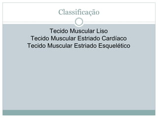 Classificação
Tecido Muscular Liso
Tecido Muscular Estriado Cardíaco
Tecido Muscular Estriado Esquelético
 