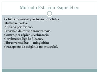 Músculo Estriado Esquelético
Células formadas por fusão de células.
Multinucleadas.
Núcleos periféricos.
Presença de estrias transversais.
Contração: rápida e voluntária.
Geralmente ligado à ossos.
Fibras vermelhas – mioglobina
(transporte de oxigênio no musculo).
 