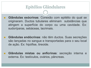 Epitélios Glândulares
 Glândulas exócrinas: Conexão com epitélio do qual se
originaram. Ductos tubulares eliminam substâncias que
atingem a superfície do corpo ou uma cavidade. Ex:
sudoríparas, sebáceas, lacrimais.
 Glândulas endócrinas: não têm ductos. Suas secreções
são lançadas no sangue e transportadas para o seu local
de ação. Ex: hipófise, tireoide.
 Glândulas mistas ou anfícrinas: secreção interna e
externa. Ex: testículos, ovários, pâncreas.
 