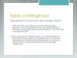 Histologia de Cartílago
