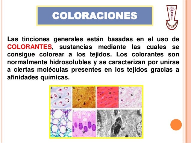 Colorantes Utilizados En El Laboratorio De Biologia es.slideshare.net