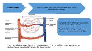 Histología, Cardiología | PPTX