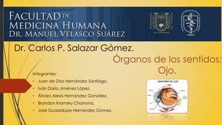 Órganos de los sentidos:
Ojo.
Dr. Carlos P. Salazar Gómez.
Integrantes:
• Juan de Dios Hernández Santiago.
• Iván Darío Jiménez López.
• Álvaro Alexis Hernández González.
• Brandon Kramsky Chanona.
• José Guadalupe Hernández Gómez.
 