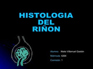 HISTOLOGIA  DEL  RIÑON Alumno:  Nieto Villarruel Gastón Matrícula:  4264 Comisión:  1 