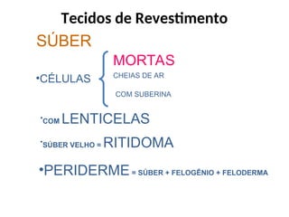 SÚBER
•CÉLULAS
MORTAS
CHEIAS DE AR
COM SUBERINA
•COM LENTICELAS
•SÚBER VELHO = RITIDOMA
•PERIDERME= SÚBER + FELOGÊNIO + FELODERMA
Tecidos de Revestimento
 