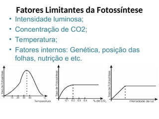 • Intensidade luminosa;
• Concentração de CO2;
• Temperatura;
• Fatores internos: Genética, posição das
folhas, nutrição e etc.
Fatores Limitantes da Fotossíntese
 