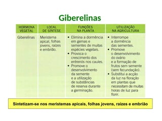 Giberelinas
Sintetizam-se nos meristemas apicais, folhas jovens, raízes e embrião
 