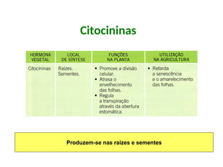 Citocininas
Produzem-se nas raízes e sementes
 