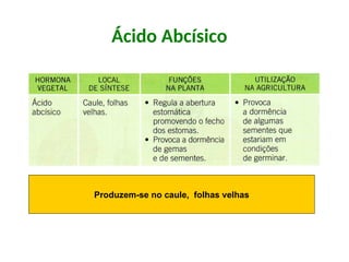 Ácido Abcísico
Produzem-se no caule, folhas velhas
 