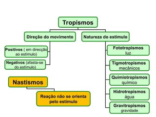Tropismos
Direção do movimento Natureza do estímulo
Positivos ( em direcção
ao estímulo)
Negativos (afasta-se
do estímulo)
Fototropismos
luz
Tigmotropismos
mecânicos
Quimiotropismos
químico
Hidrotropismos
água
Gravitropismos
gravidade
Nastismos
Reação não se orienta
pelo estímulo
 