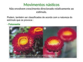 Movimentos násticos
Não envolvem crescimento direcionado relativamente ao
estímulo.
Podem, também ser classificados de acordo com a natureza do
estímulo que os provoca :
- Fotonastia
 