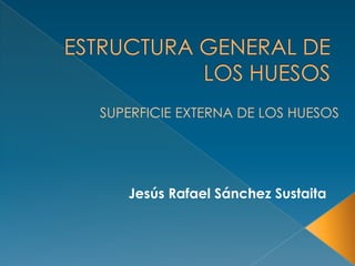 SUPERFICIE EXTERNA DE LOS HUESOS
Jesús Rafael Sánchez Sustaita
 