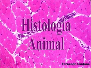 Histologia  Animal Fernando Santana 