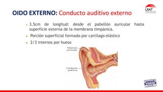 OIDO EXTERNO: Conducto auditivo externo
3.5cm de longitud: desde el pabellón auricular hasta
superficie externa de la membrana timpánica.
Porción superficial formado por cartílago elástico
2/3 internos por hueso
 