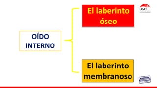 OÍDO
INTERNO
El laberinto
óseo
El laberinto
membranoso
 