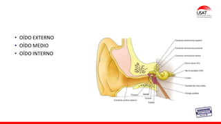 • OÍDO EXTERNO
• OÍDO MEDIO
• OÍDO INTERNO
 