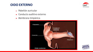 OIDO EXTERNO
Pabellón auricular
Conducto auditivo externo
Membrana timpánica
 