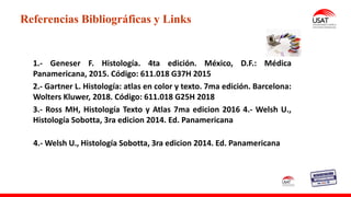 M. Tesen
Referencias Bibliográficas y Links
1.- Geneser F. Histología. 4ta edición. México, D.F.: Médica
Panamericana, 2015. Código: 611.018 G37H 2015
2.- Gartner L. Histología: atlas en color y texto. 7ma edición. Barcelona:
Wolters Kluwer, 2018. Código: 611.018 G25H 2018
3.- Ross MH, Histología Texto y Atlas 7ma edicion 2016 4.- Welsh U.,
Histología Sobotta, 3ra edicion 2014. Ed. Panamericana
4.- Welsh U., Histología Sobotta, 3ra edicion 2014. Ed. Panamericana
 