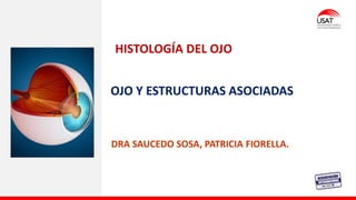 OJO Y ESTRUCTURAS ASOCIADAS
HISTOLOGÍA DEL OJO
DRA SAUCEDO SOSA, PATRICIA FIORELLA.
 
