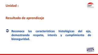 Resultado de aprendizaje
Unidad :
 Reconoce las características histológicas del ojo,
demostrando respeto, interés y cumplimiento de
bioseguridad.
 