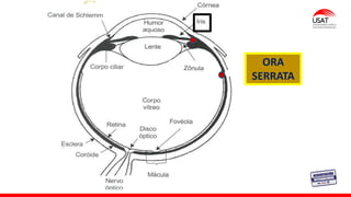 M. Tesen
ORA
SERRATA
 